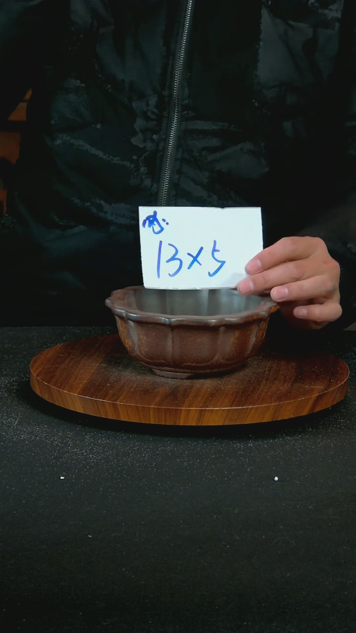 【闪购商品】紫砂T30