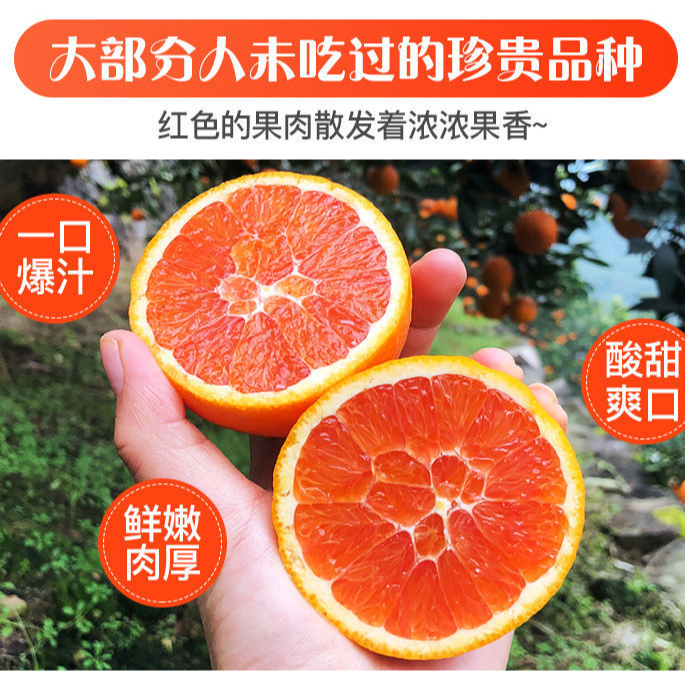 正宗湖北中华红血橙酸甜可口爆汁红橙现摘现发新鲜应季孕妇水果