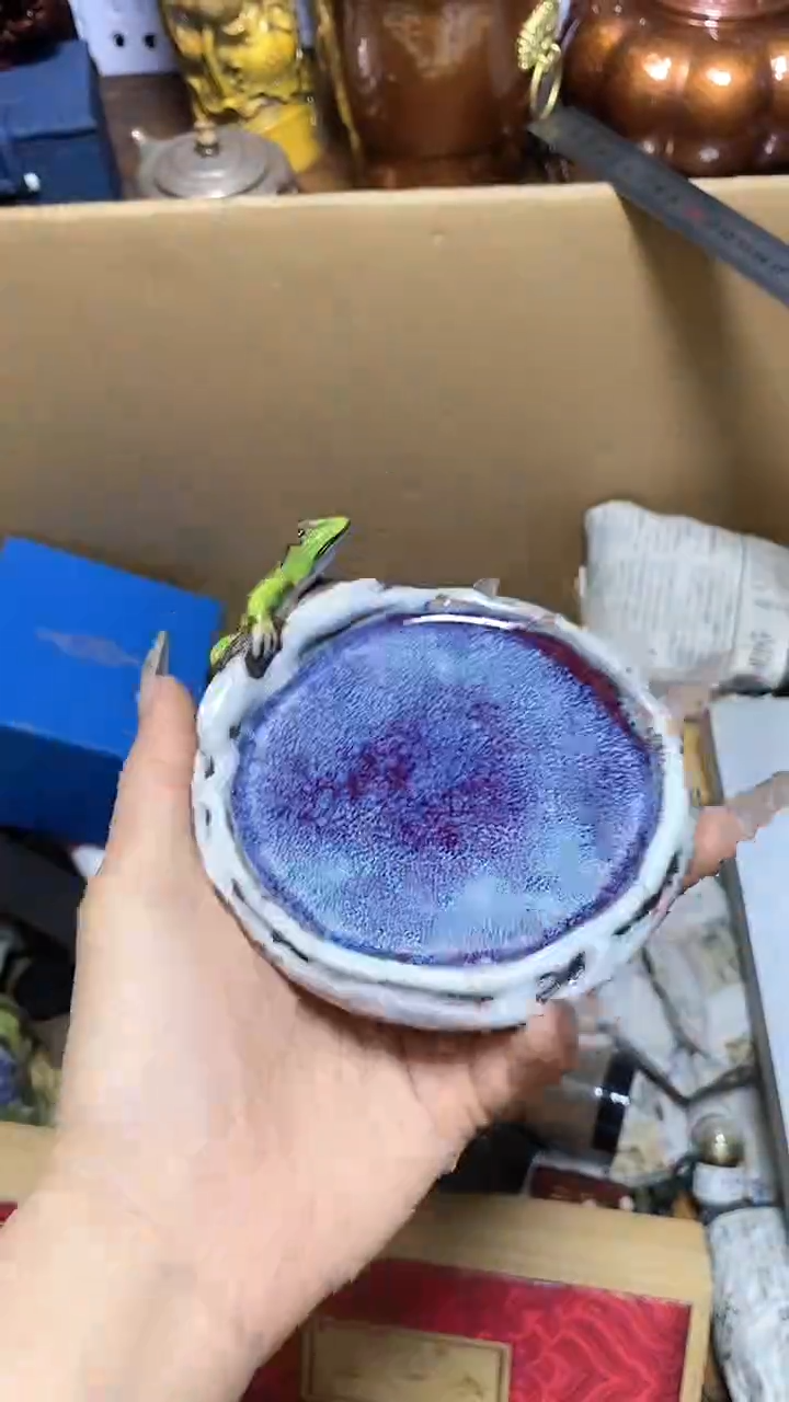 【闪购商品】瓷器瓷器瓷器瓷器