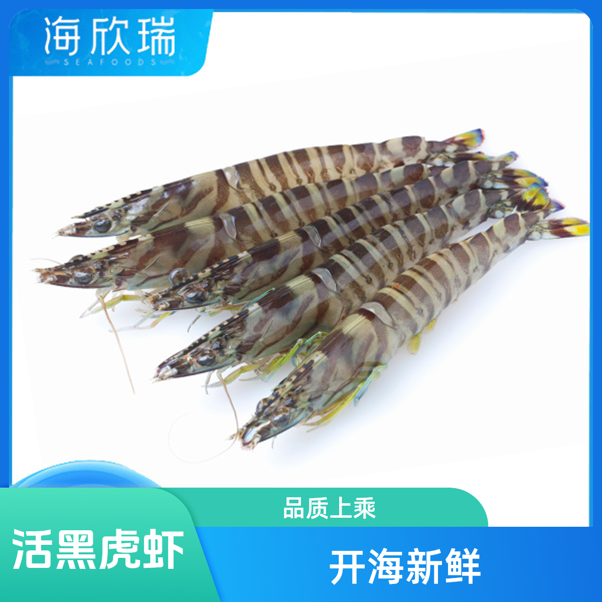 全活黑虎虾