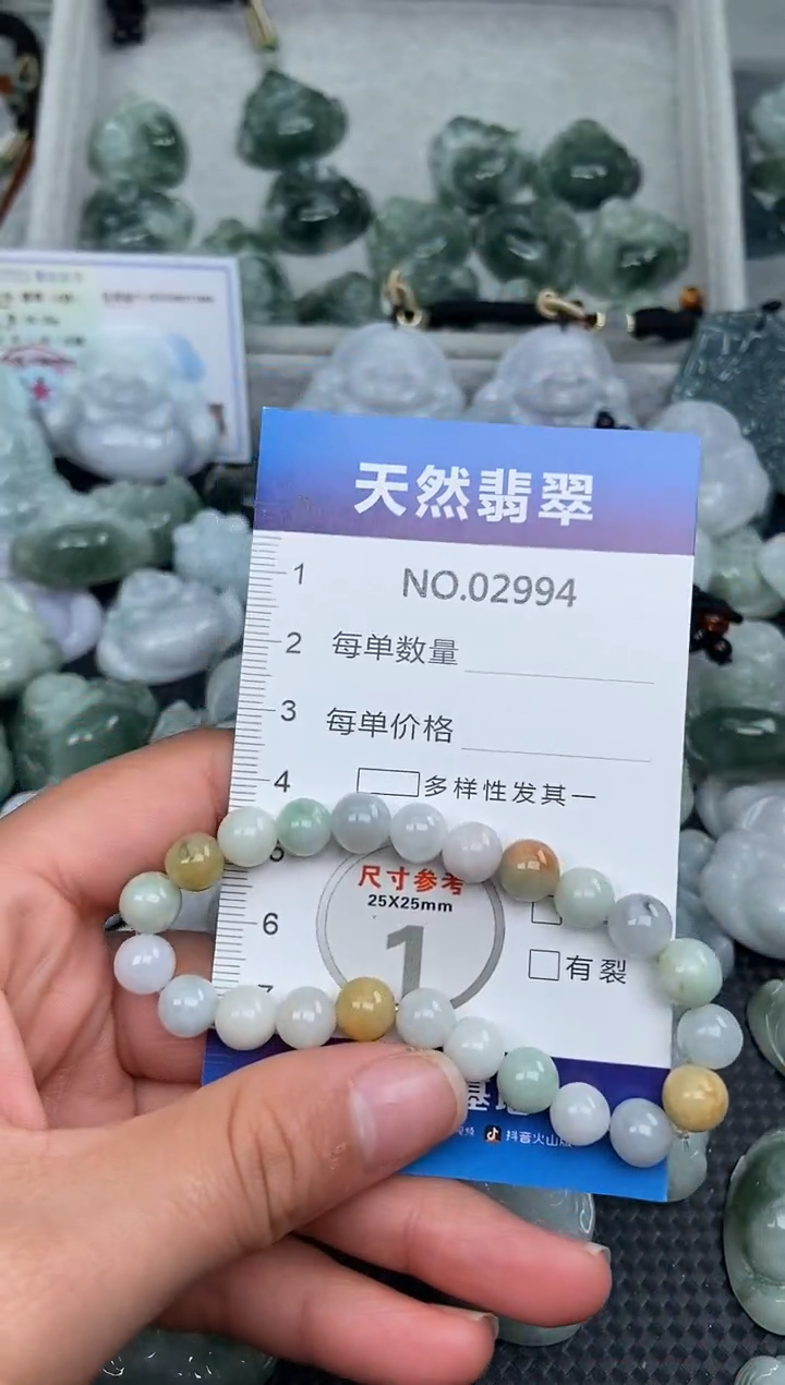 颈饰未镶嵌翡翠纯天然A货翡翠2994