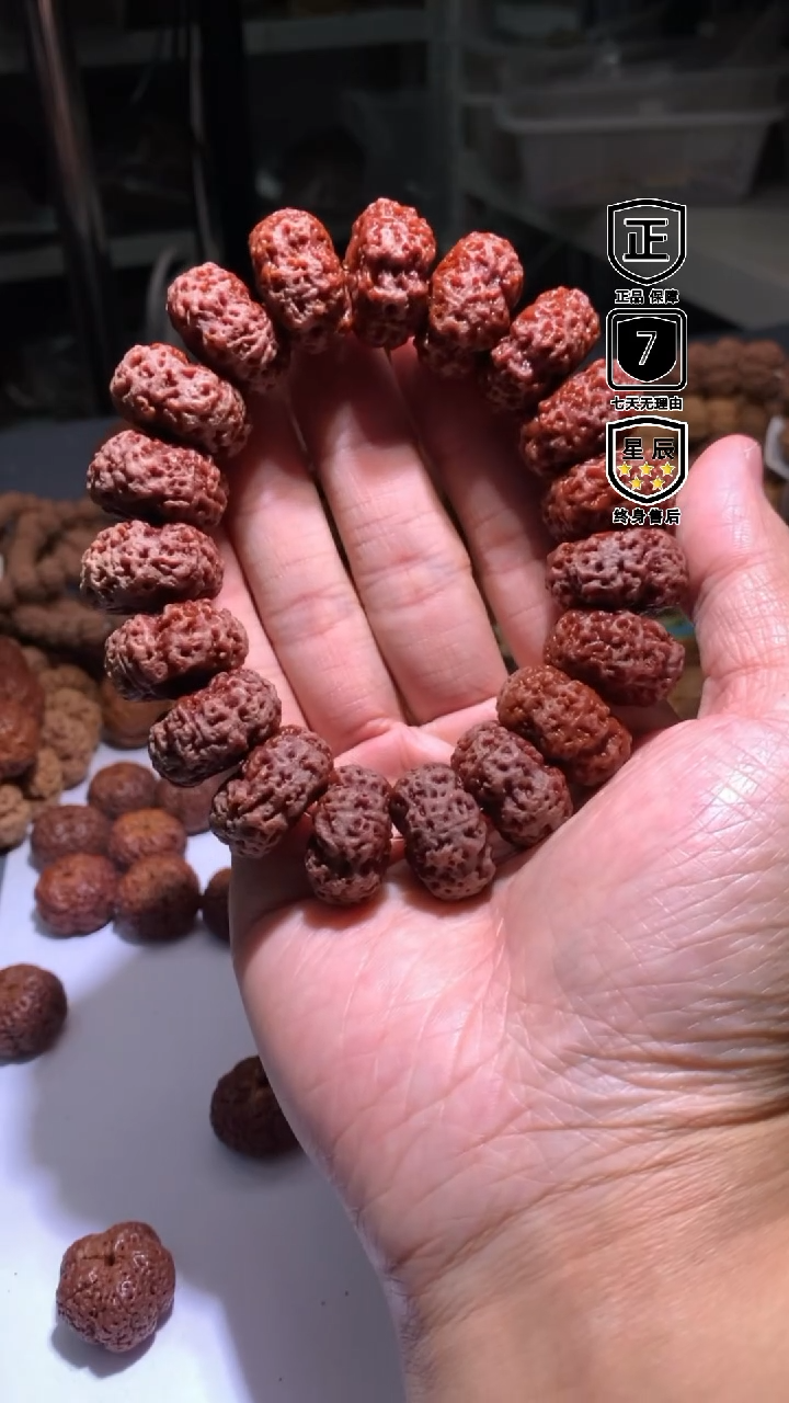 金刚菩提手串096