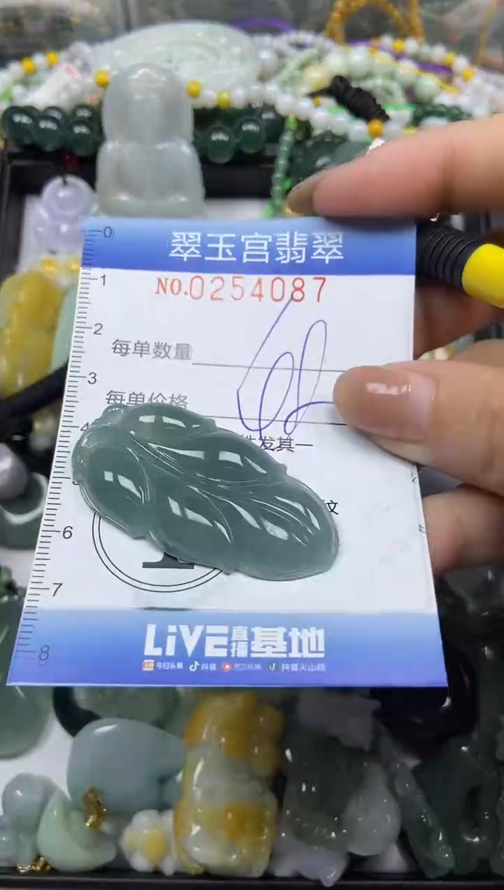 颈饰未镶嵌翡翠闪购C0254087