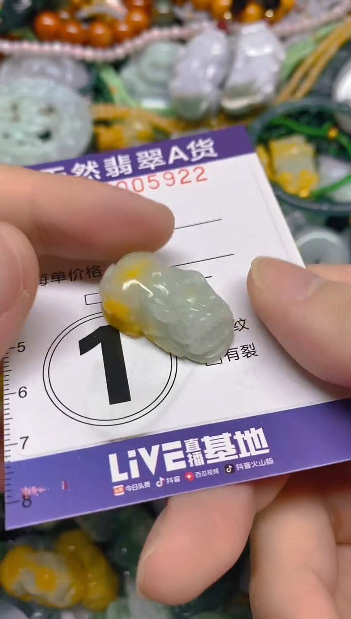 颈饰未镶嵌翡翠0005922