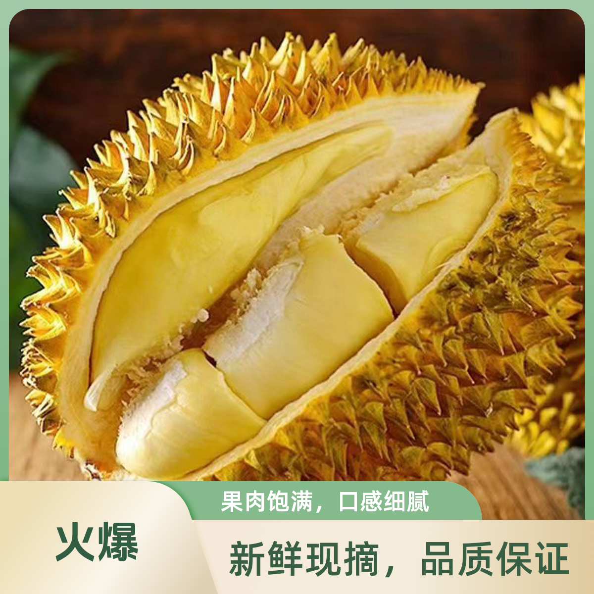 【刀疤李】泰国金枕榴莲金枕泰国