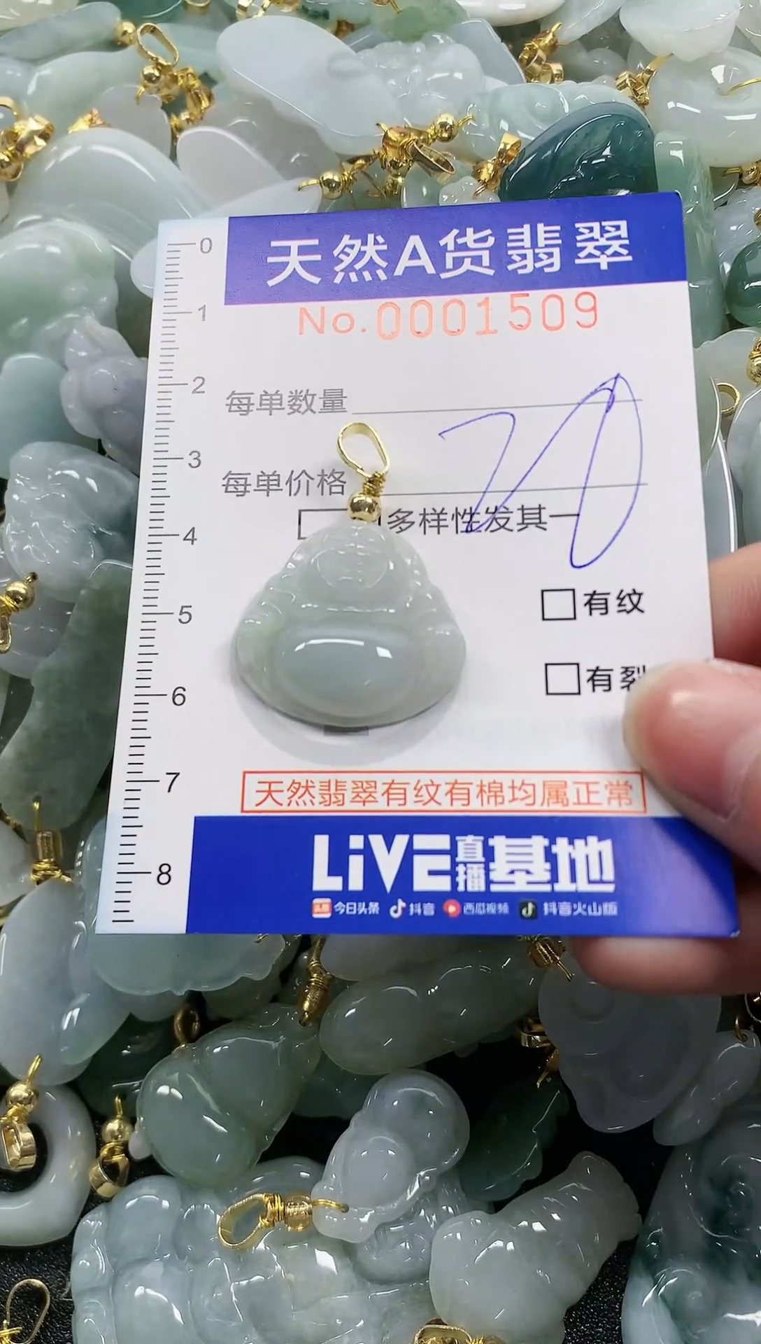 颈饰未镶嵌翡翠纯天然a货翡翠