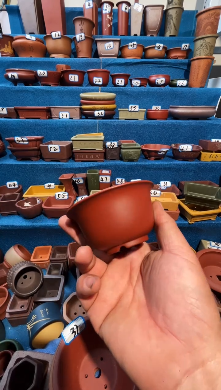 【闪购商品】紫砂紫砂花盆8*5