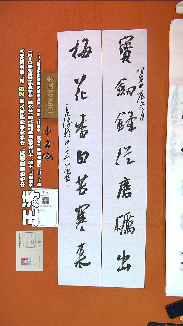 【闪购商品】书法376王涛书法作品