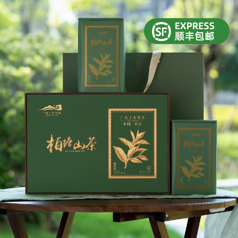 2025柏塘山茶明前头春茶广东十大名茶惠州博罗手工绿茶罗浮山茶叶