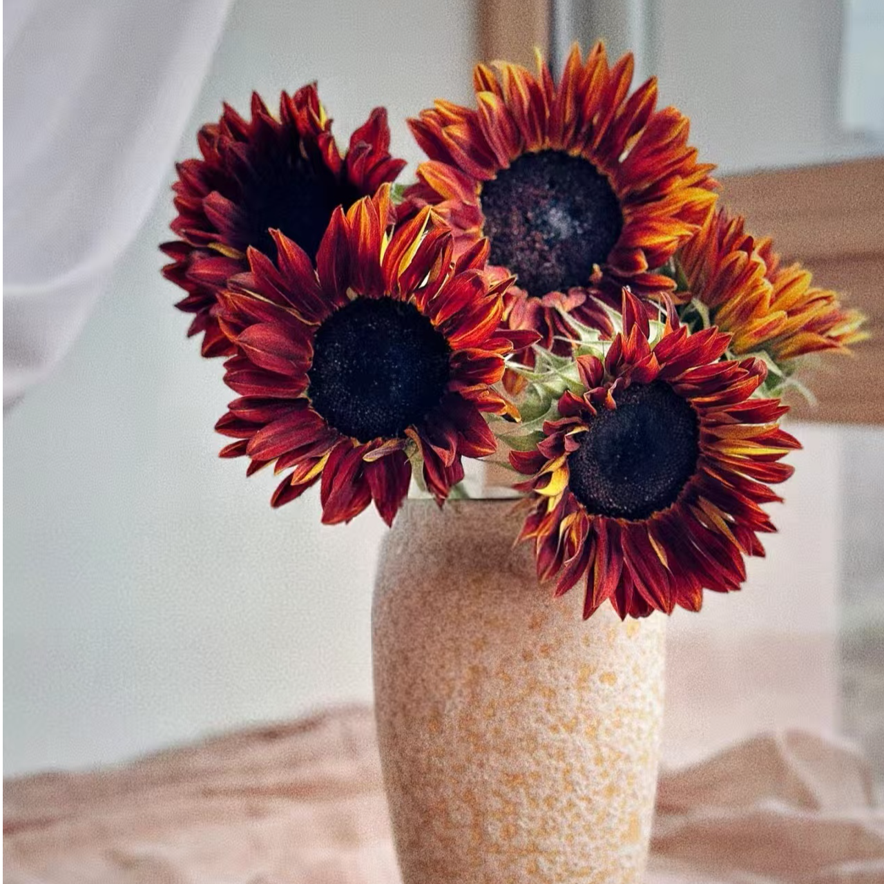 【独鬏鬏优选】高品质 [油画向日葵] 基地现摘鲜活家居瓶插冷链配送