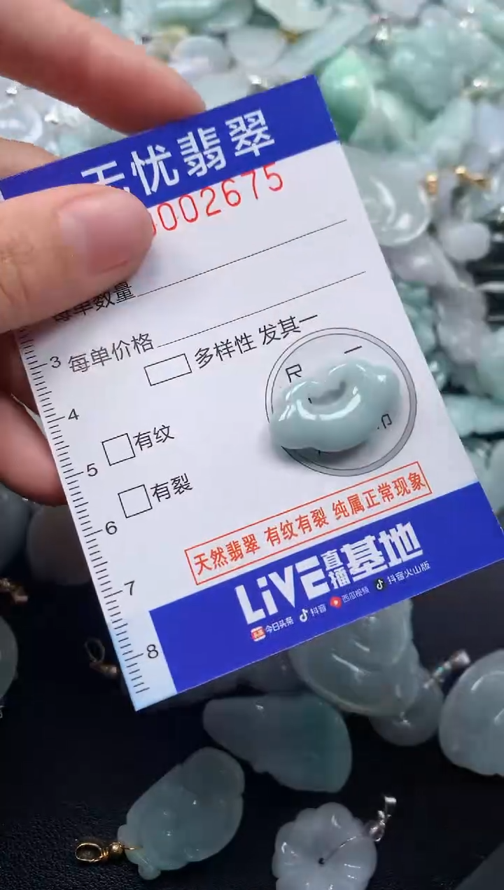 颈饰未镶嵌翡翠2675