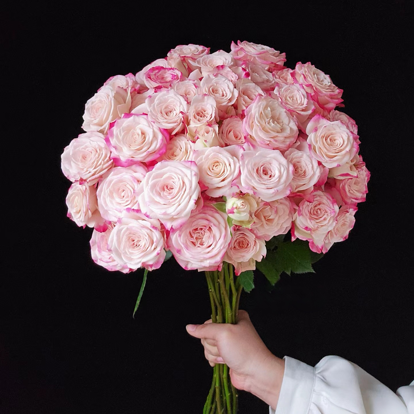 【折射】多头玫瑰（全场同一地址两单顺丰冷链包邮噢~）