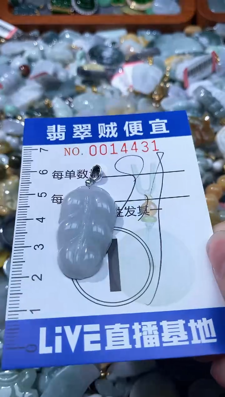 翡翠未镶嵌颈饰B闪购0014431