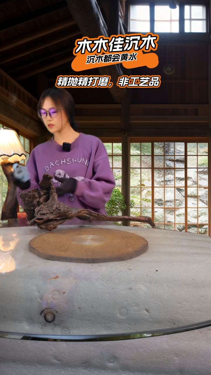 天****室木木佳沉木鱼缸造景