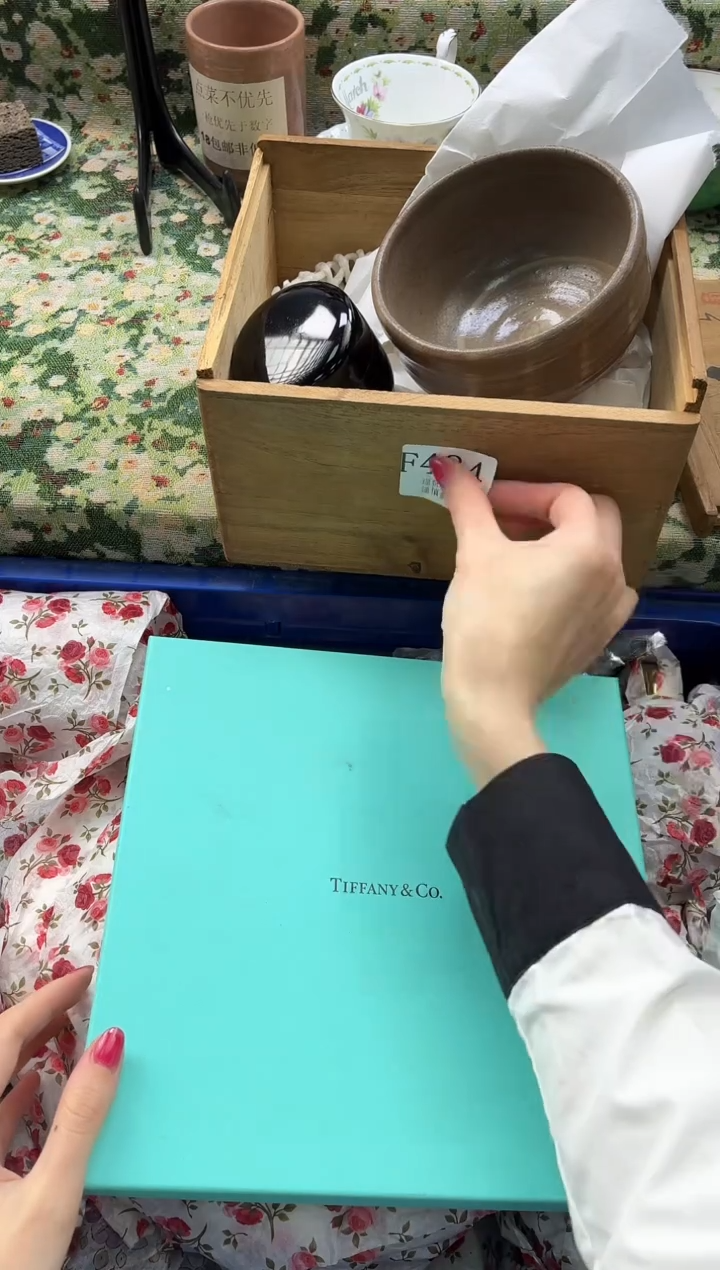 瓷片豆*       F484*