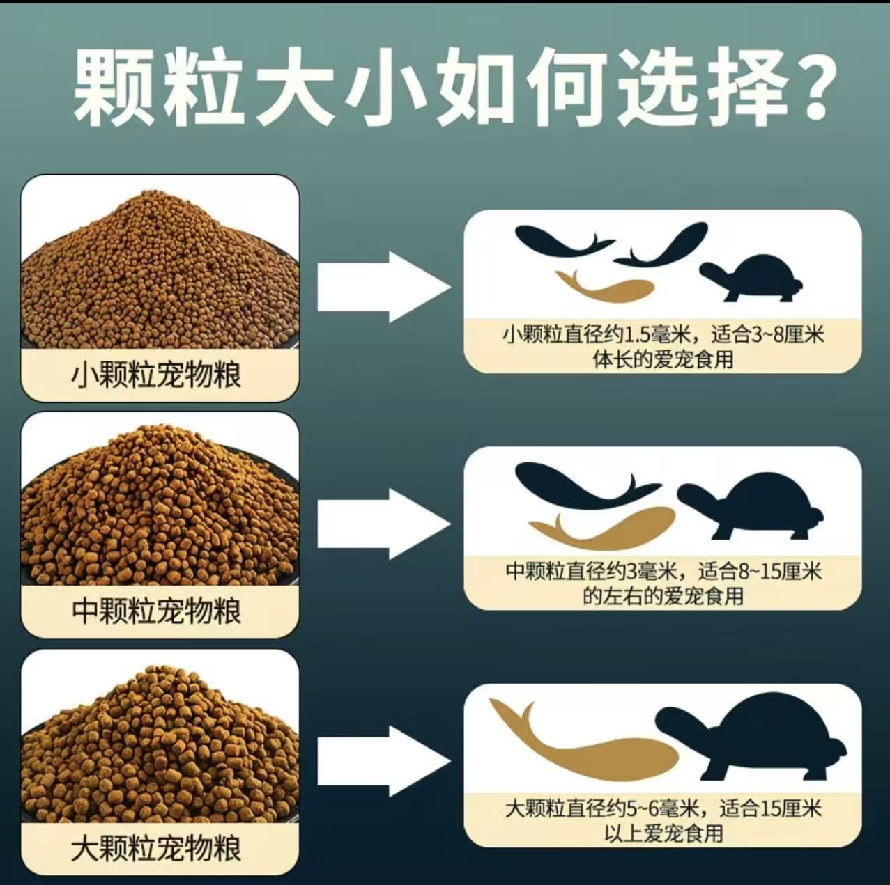 锦鲤观赏鱼御三家鱼粮