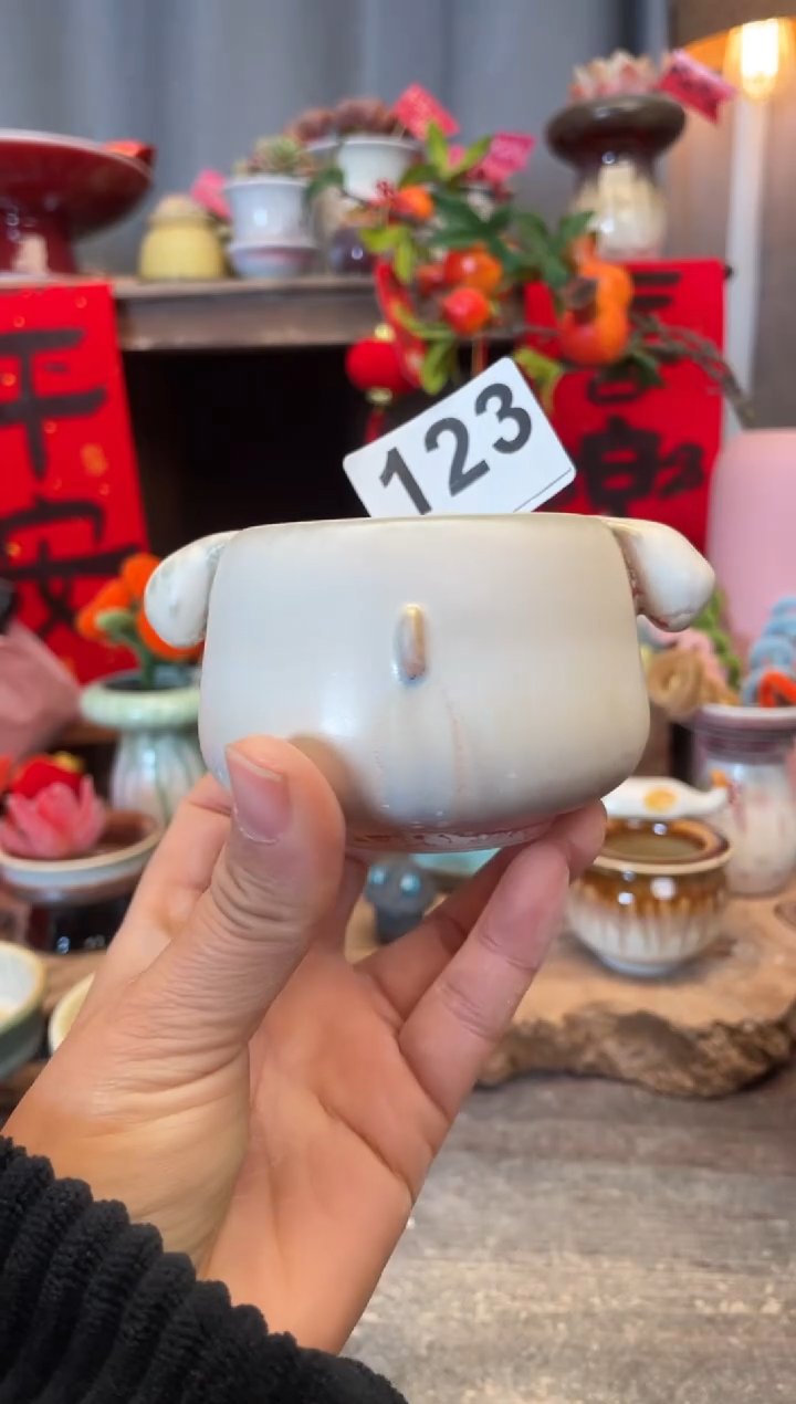 【闪购商品】摆件123知木小芳花盆