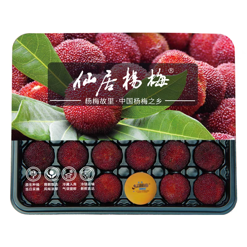 9A仙居东魁杨梅新鲜现摘顺丰冷链包邮发货浙江省