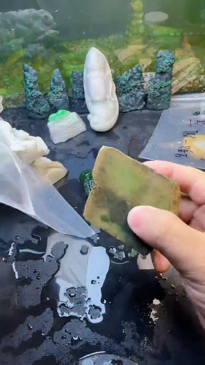 【闪购商品】翡翠颈饰未镶嵌095天然翡翠