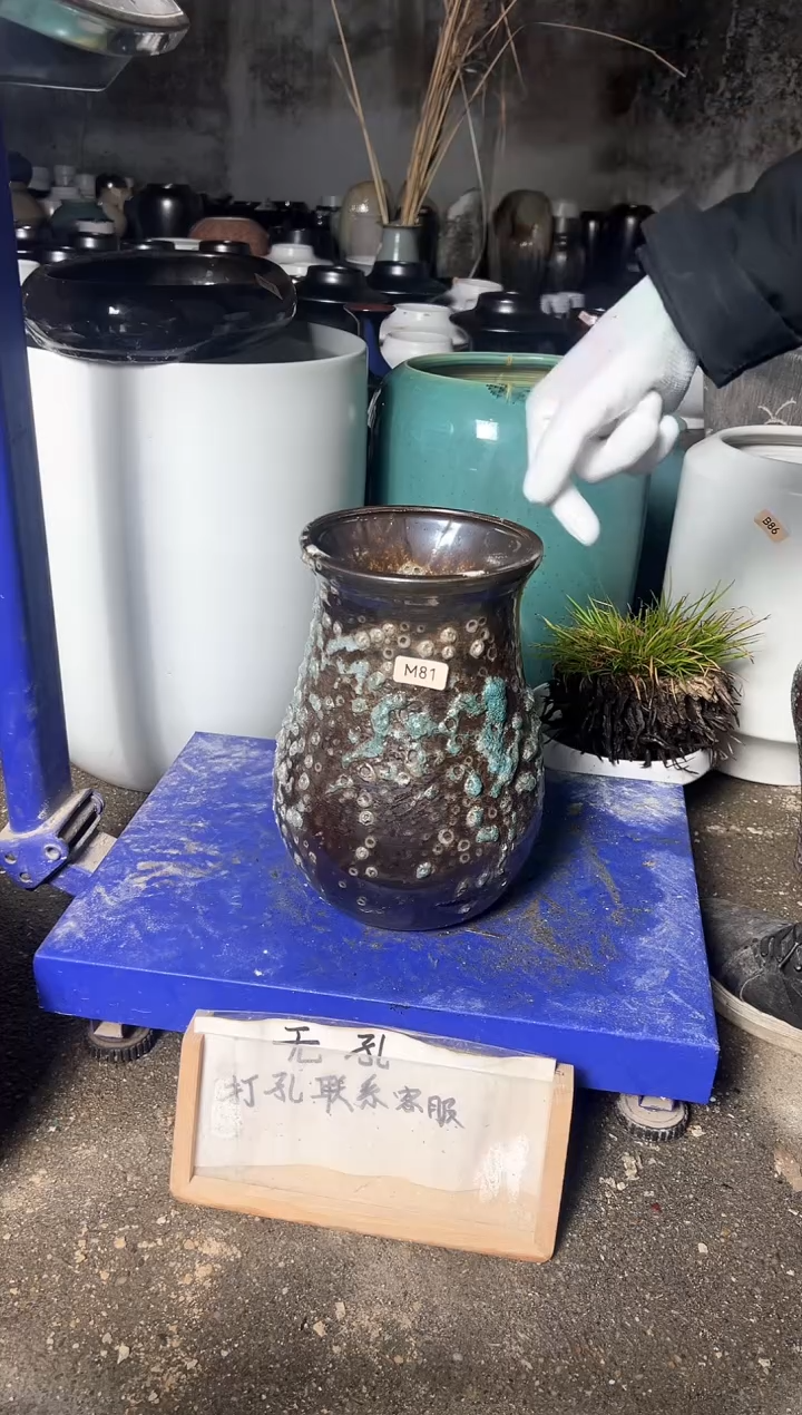 【闪购商品】摆件M81口径13高24误差2默认微瑕