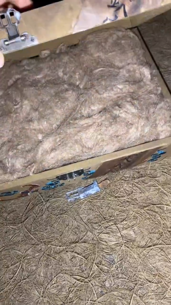 香榧木天興一一一一一福利