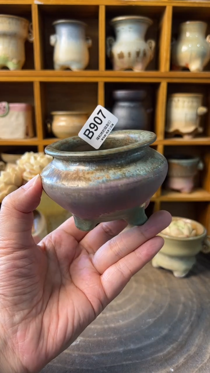 907 内口6【多肉花盆多肉盆】