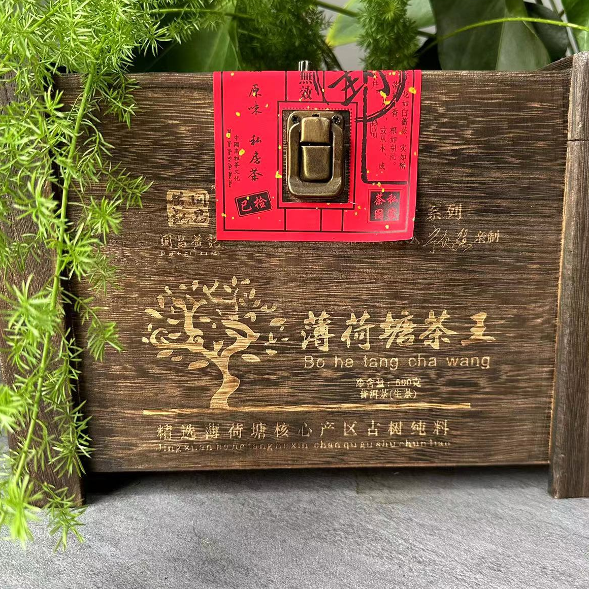 茶园世家同昌黄记传承薄荷塘茶王普洱茶500g/盒 生茶（12月4日）