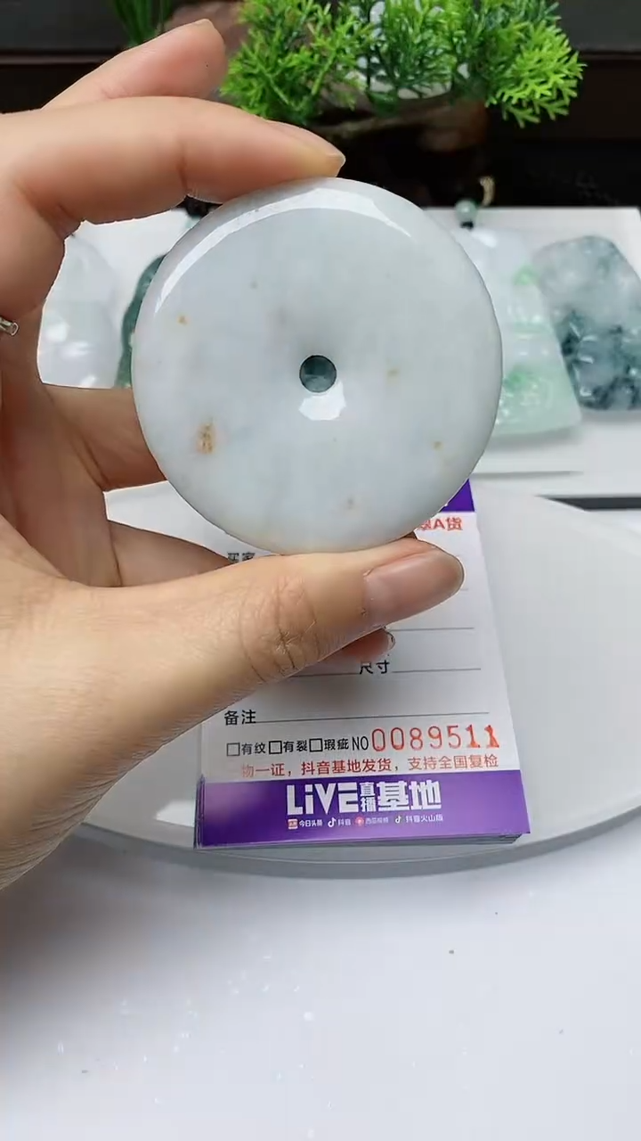 【闪购商品】翡翠颈饰未镶嵌多样性发其一
