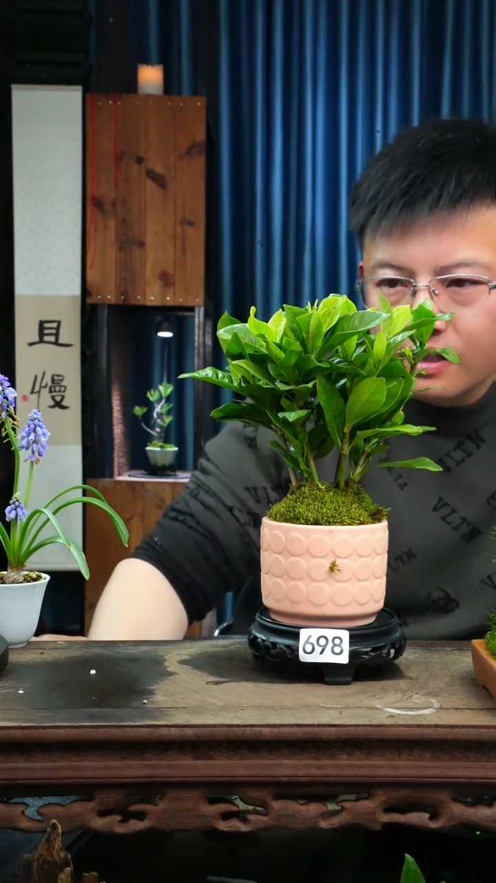 【闪购商品】苔藓微景观698号