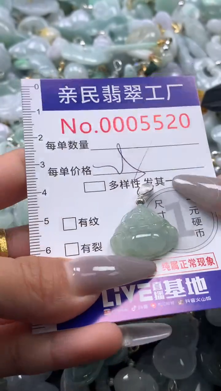 颈饰未镶嵌翡翠5520