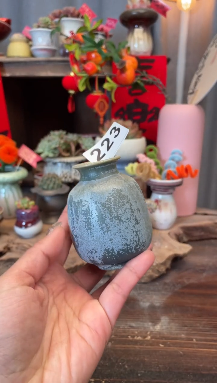 【闪购商品】摆件福利223知木小芳花盆