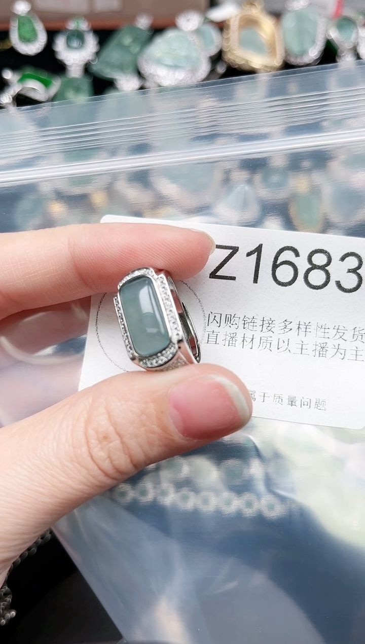 【闪购商品】翡翠颈饰未镶嵌赠皮绳1683