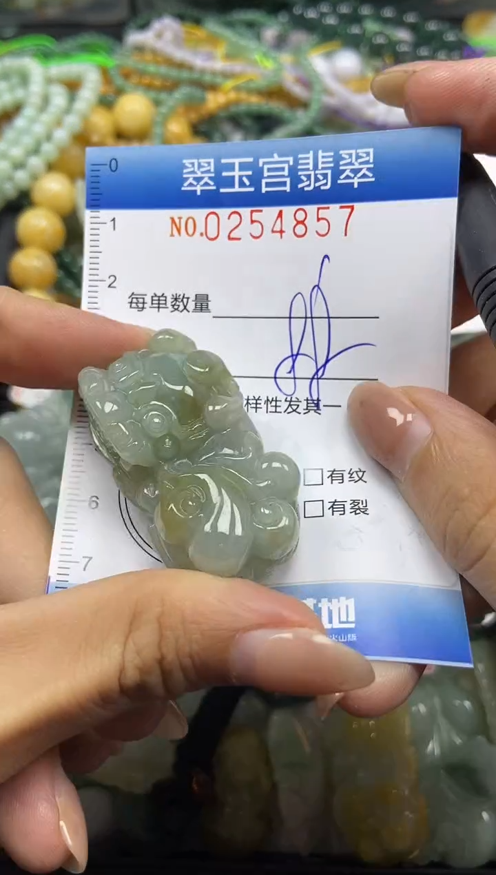 颈饰未镶嵌翡翠闪购C0254857