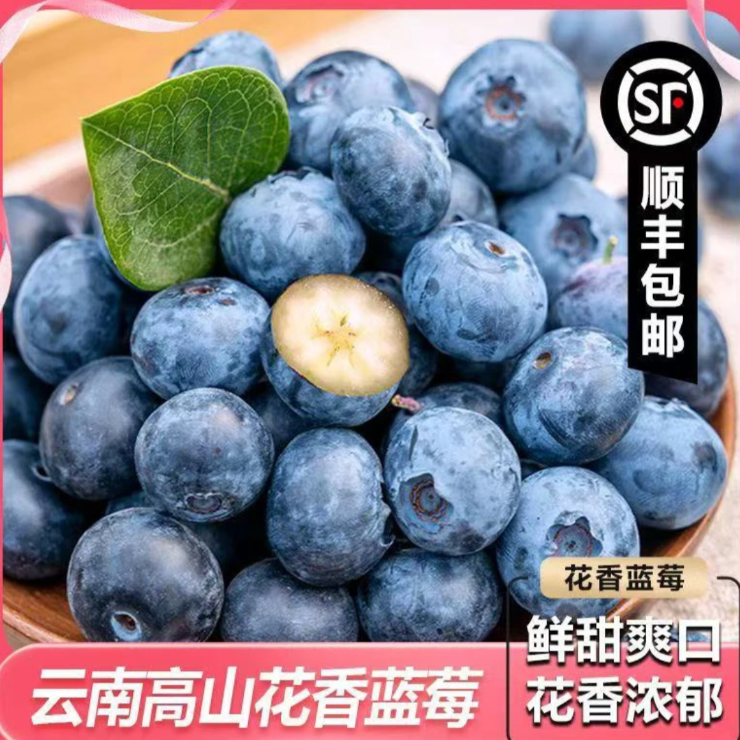 16盒 头茬超甜大果花香蓝莓 当天现摘现发16-12mm 顺丰冷链