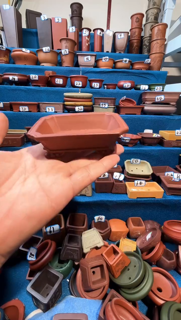 【闪购商品】紫砂紫砂花盆