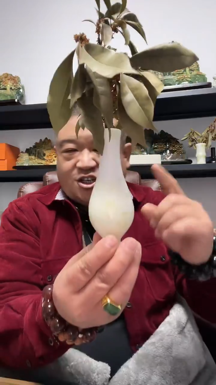 未镶嵌摆件蓝田玉（蛇纹石化大理石玉）玉净瓶摆件