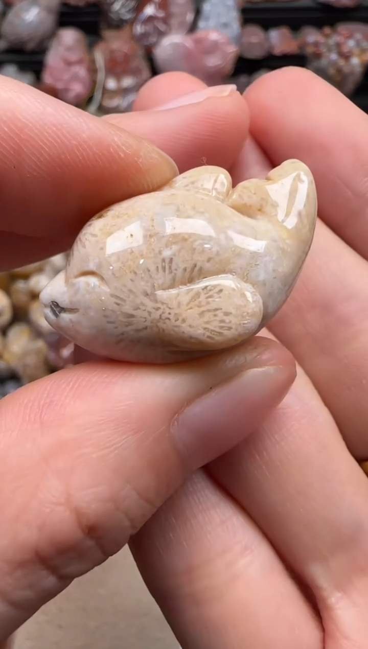 【闪购商品】硅化珊瑚（珊瑚玉）颈饰未镶嵌419