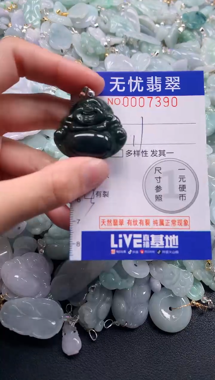 颈饰未镶嵌翡翠7390