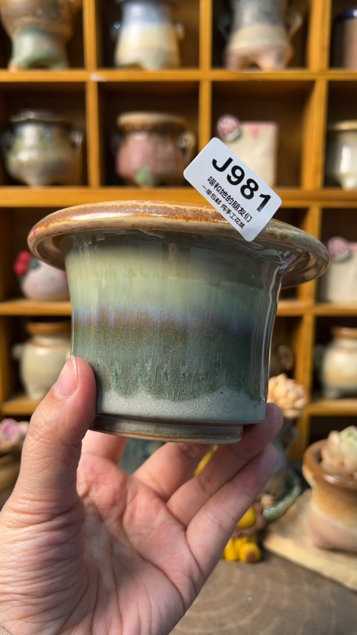 981 内口9.5【多肉花盆多肉盆】