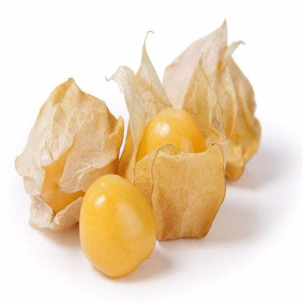 【洗净】姑娘果