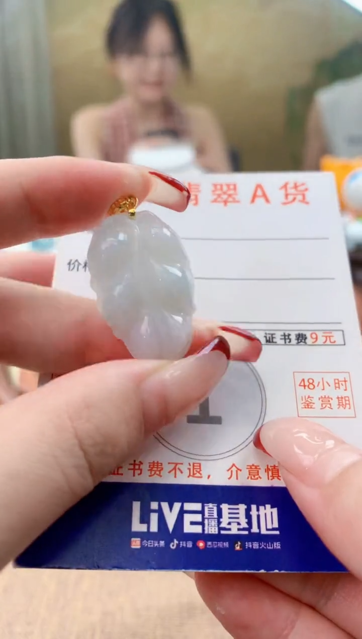 颈饰未镶嵌翡翠天然A货翡翠挂件