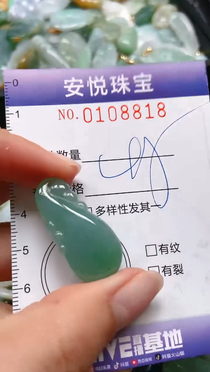 【闪购商品】翡翠颈饰未镶嵌闪购0108818