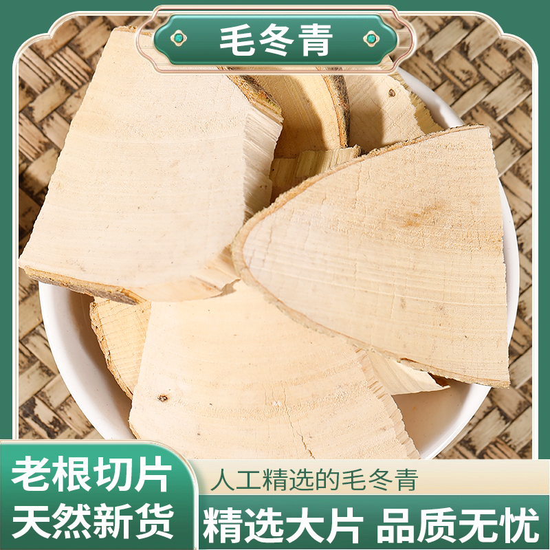 正宗精选好货【毛冬青】 