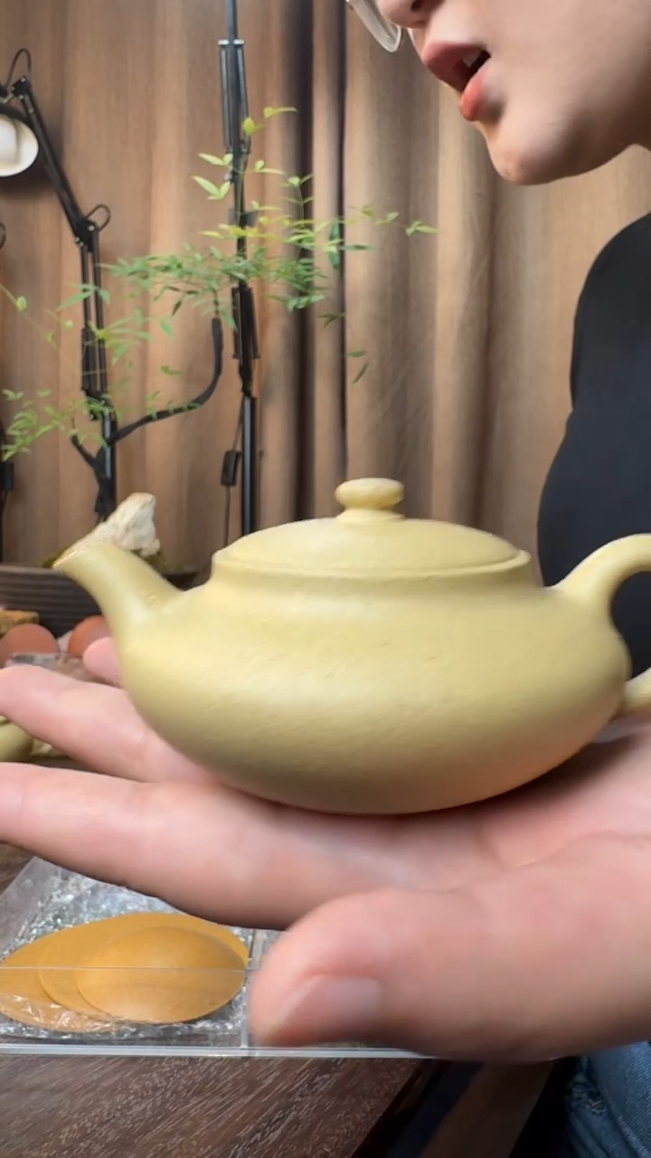 吃*尽大水潭本山绿泥-舒合（半手精工制作）170CC
