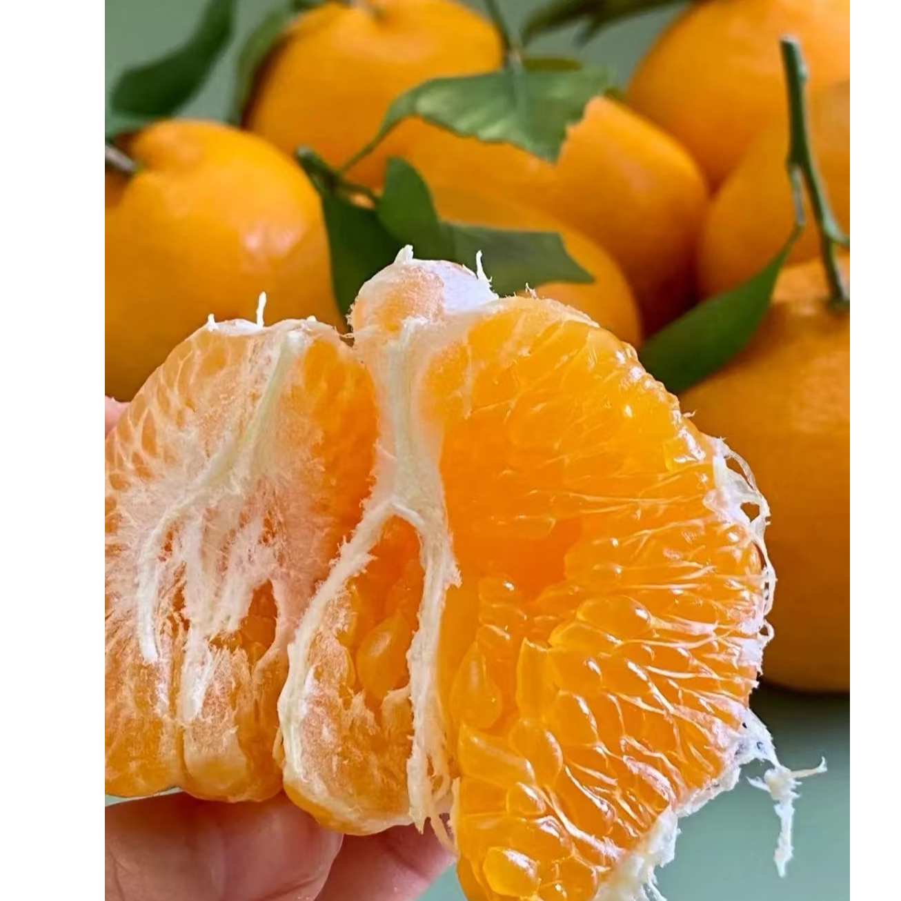 精品耙耙柑约5斤装四川省