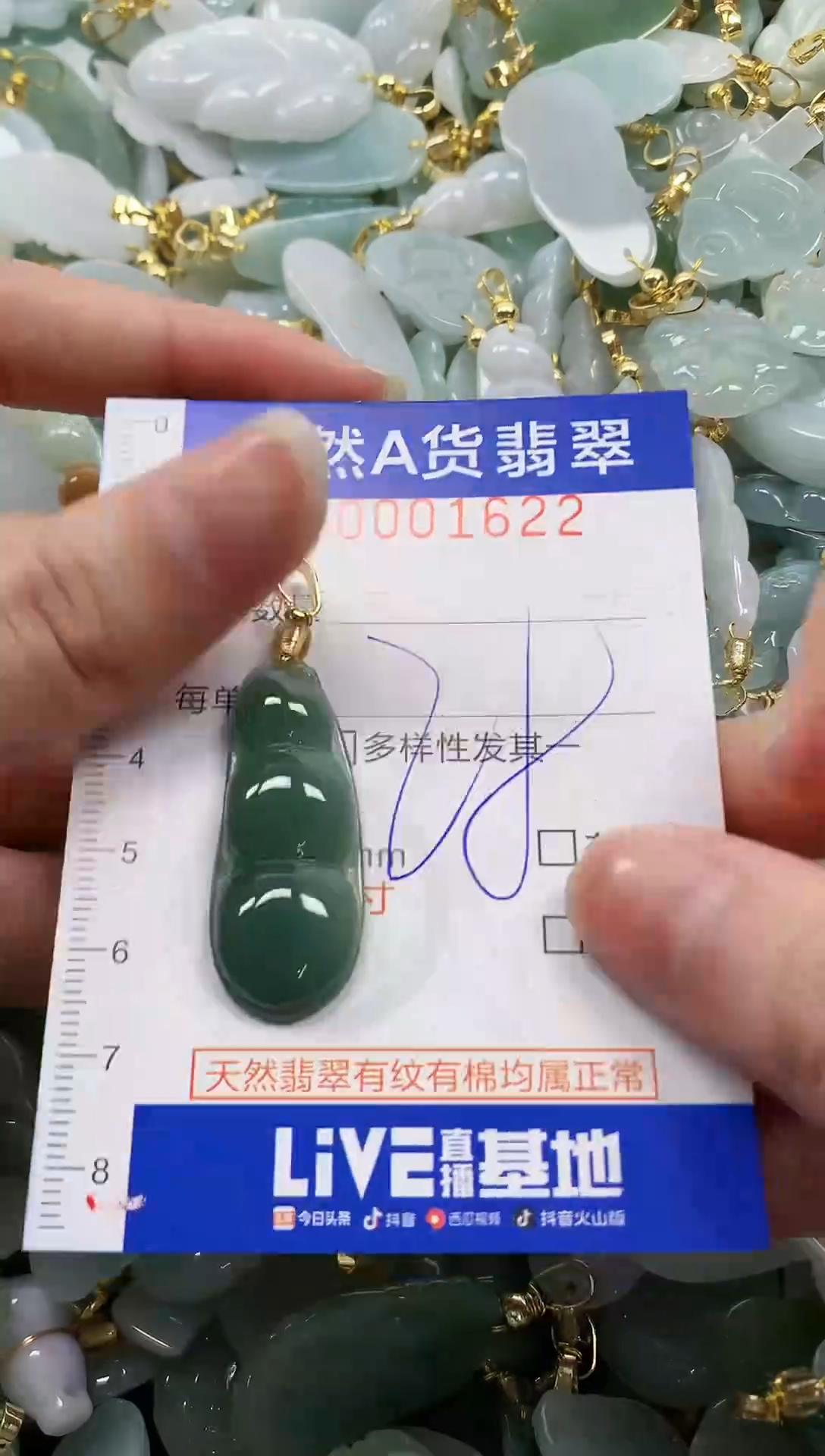 颈饰未镶嵌翡翠纯天然a货翡翠