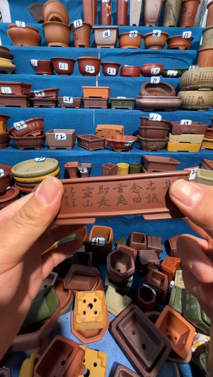 【闪购商品】紫砂紫砂花盆10.5*6*2.5