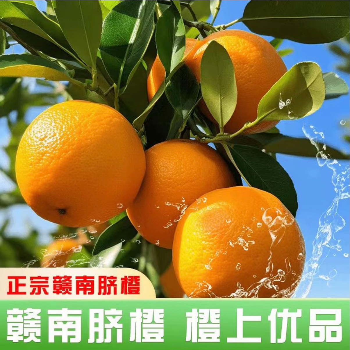  【次日达】正宗江西赣南脐橙香甜爆汁孕妇水果现摘自然成熟带箱5斤多仓发货江西省