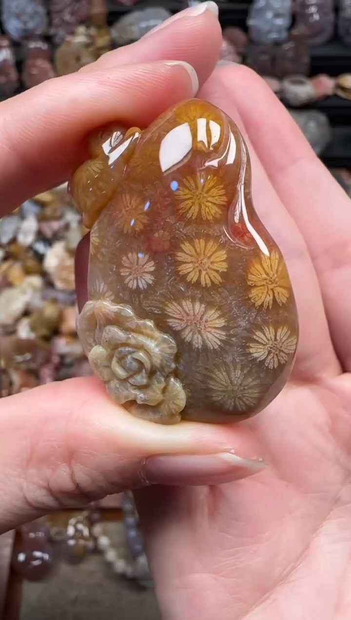 颈饰未镶嵌硅化珊瑚（珊瑚玉）605