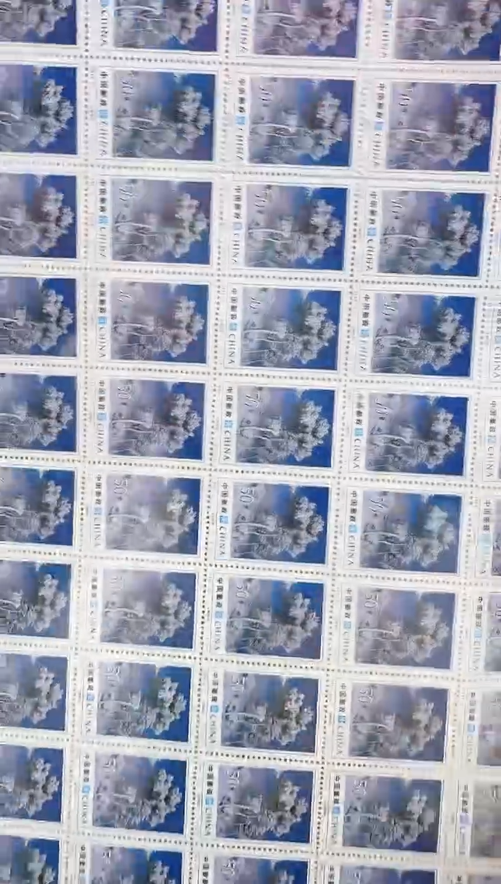 《吉林雾凇》 大版 HDGS评级 邮票